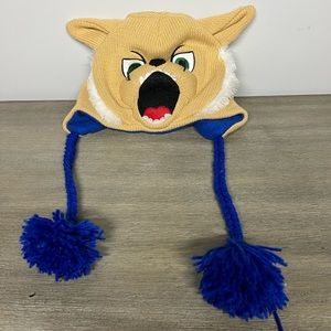 Kentucky Wildcats Hat